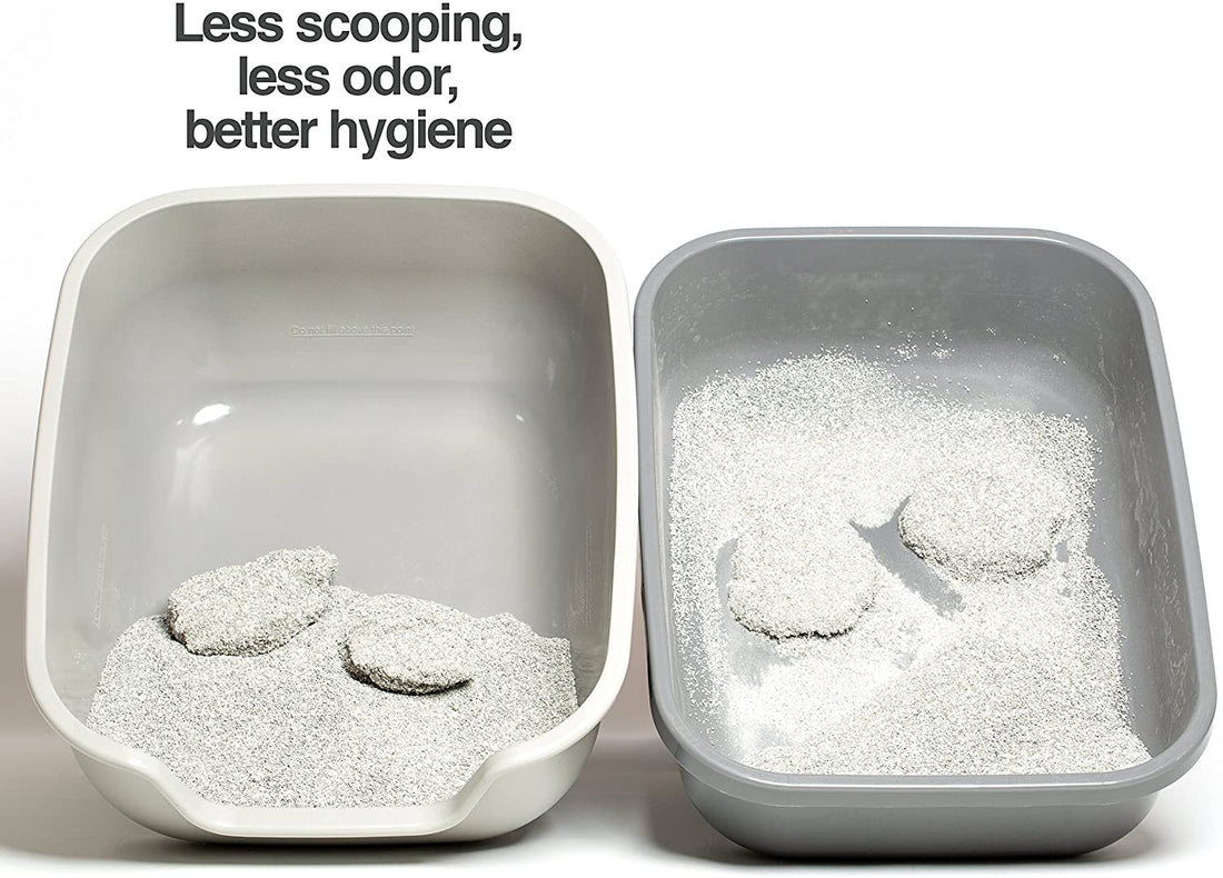 BetterBox Non-Stick Large Litter Box β Pet-Safe Coating, Easy-Clean Open Top, Durable ABS Plastic