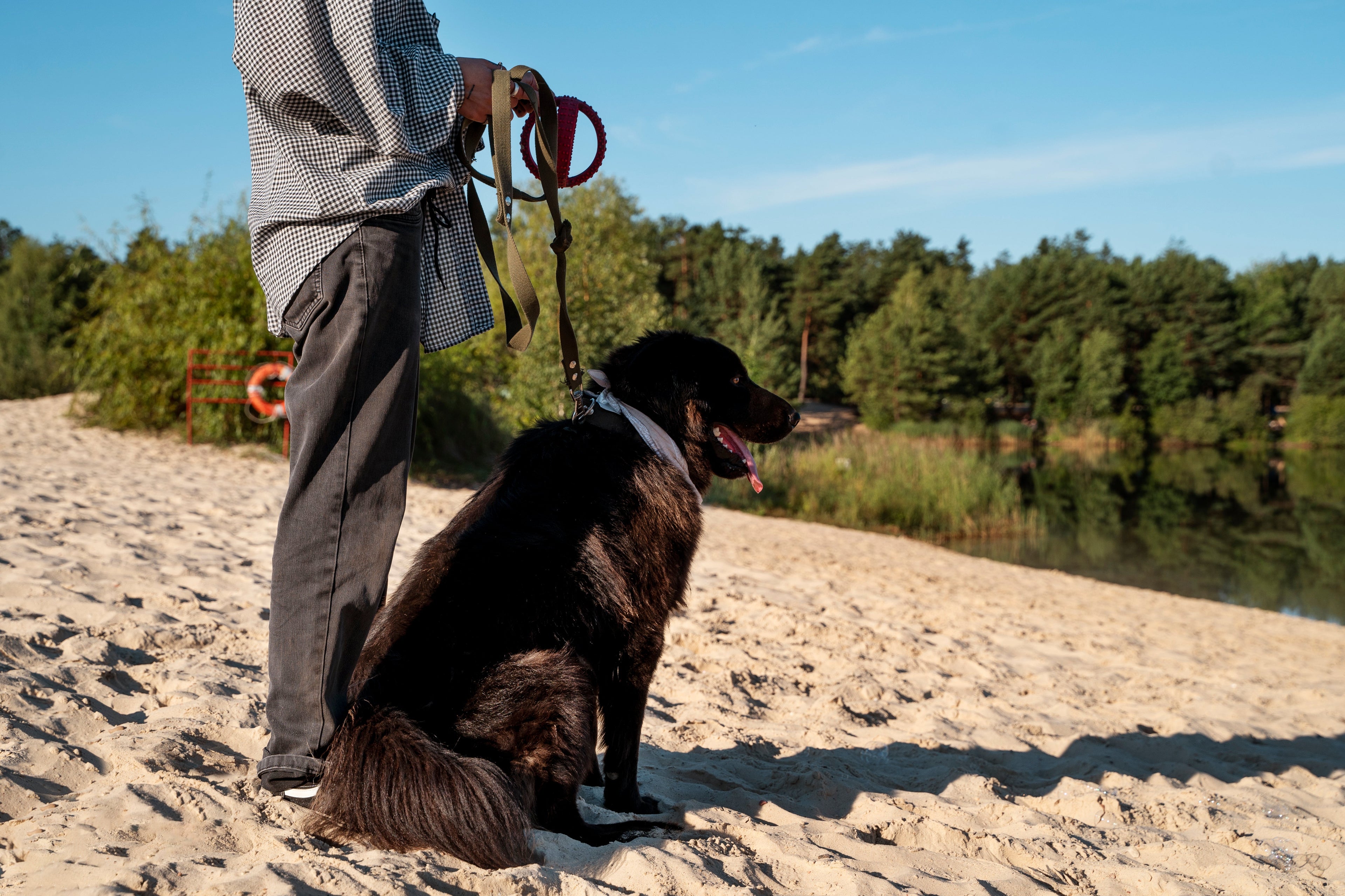 🐶Dog Comfort, Travel & Outdoor Gear