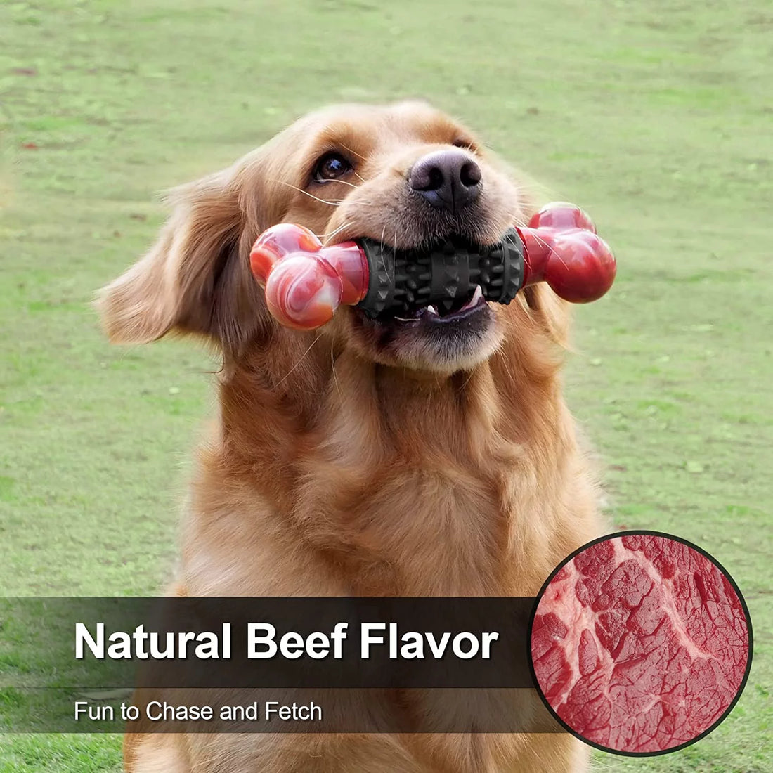 Indestructible Dog Chew Toy – Durable Bone Toy for Aggressive Chewers, Medium & Large Dogs