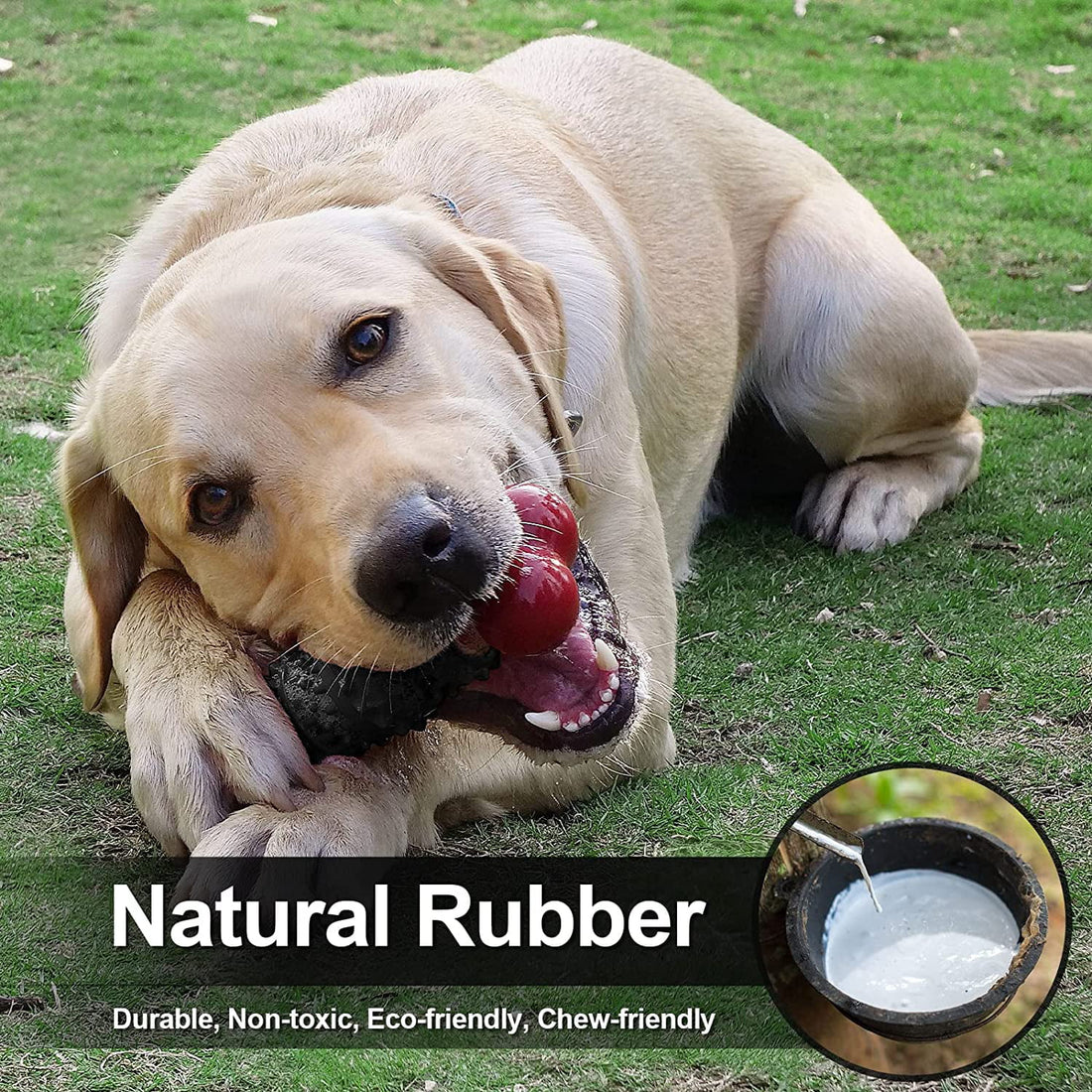 Indestructible Dog Chew Toy – Durable Bone Toy for Aggressive Chewers, Medium & Large Dogs