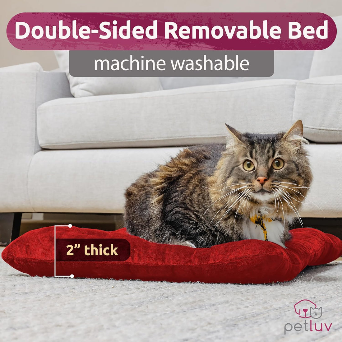 Large Soft-Sided Pet Carrier – Fits 2 Cats or Medium Dog, Travel & Vet Friendly with Removable Bed and Privacy Windows
