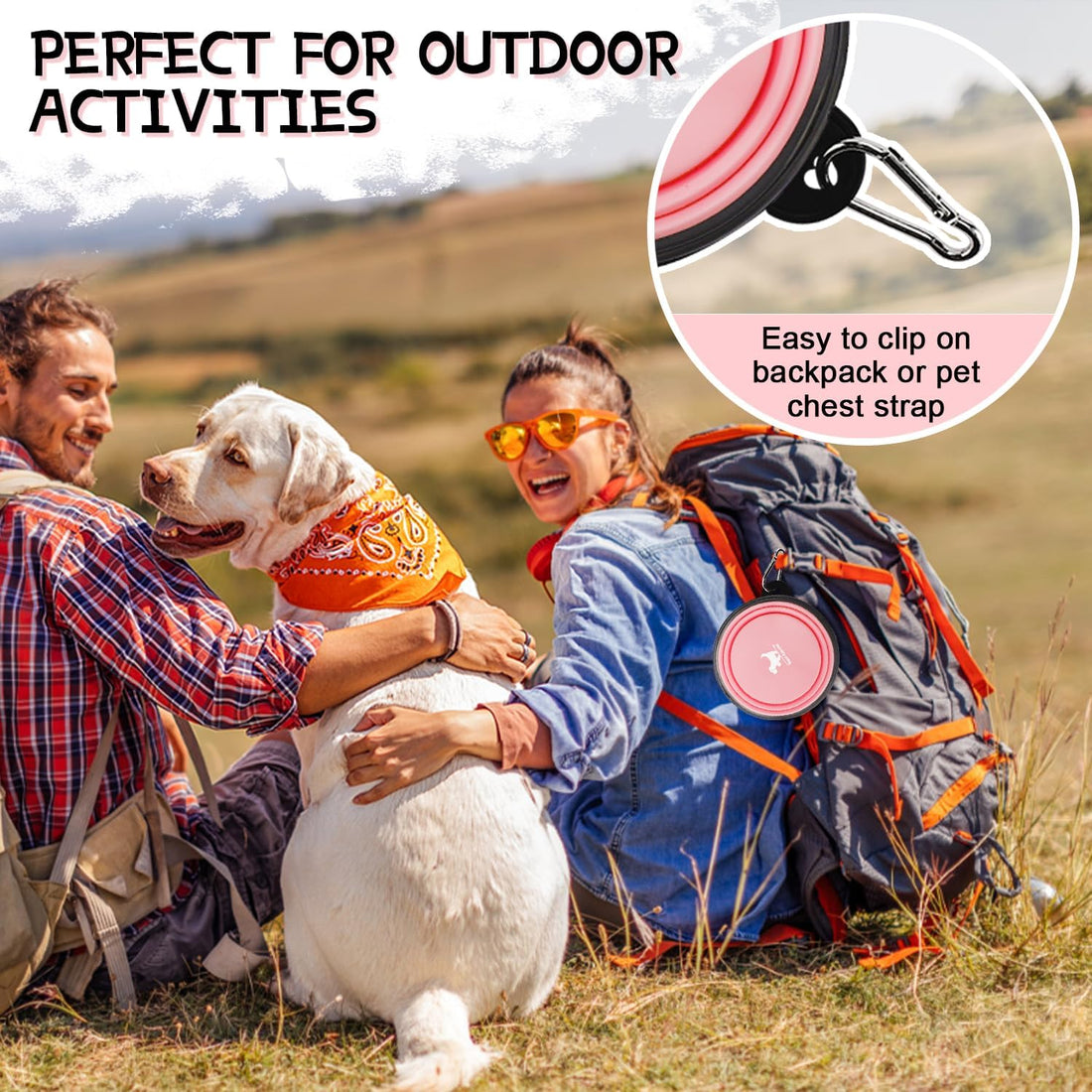Collapsible Dog & Cat Travel Bowls – 2-Pack Portable Foldable Water & Food Dish with Carabiners, BPA-Free**