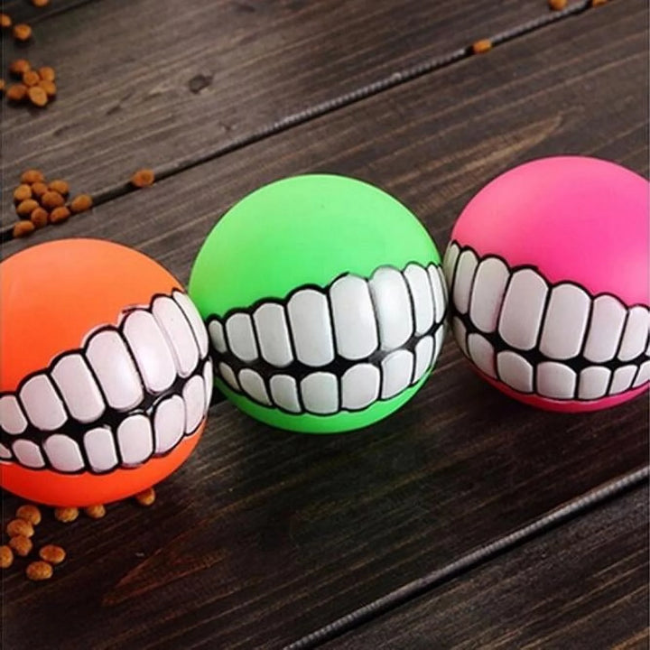 Squeaky Dog Balls – Fun Fetch & Chew Toys for Puppies and Dogs