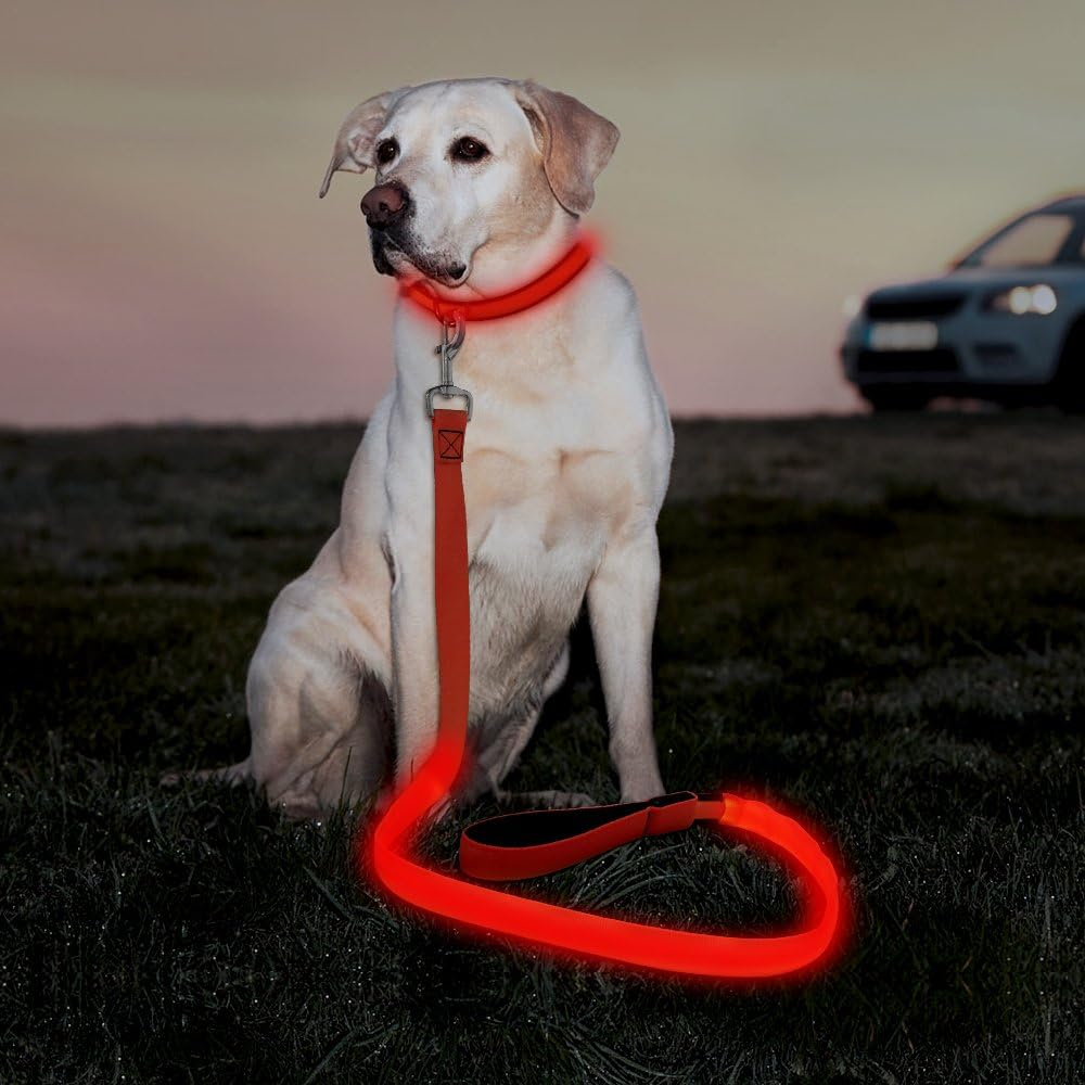 LED Dog Leash – USB Rechargeable Light-Up Nylon Dog Lead for Night Walking, 47.2” (Red)