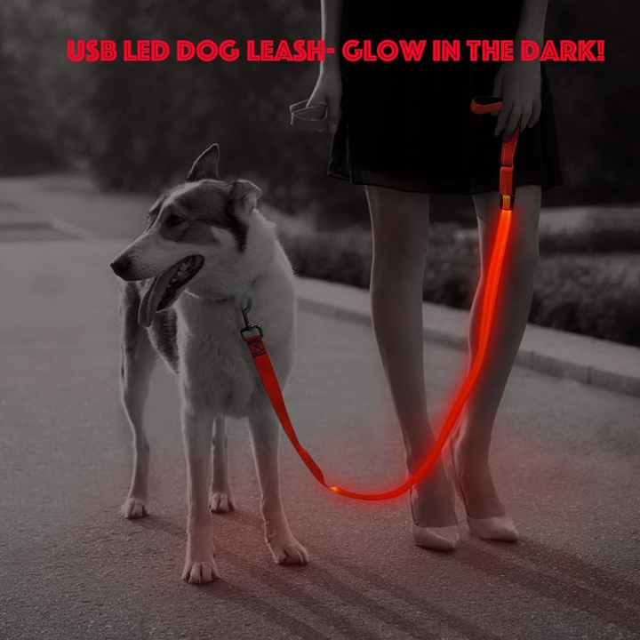 LED Dog Leash – USB Rechargeable Light-Up Nylon Dog Lead for Night Walking, 47.2” (Red)