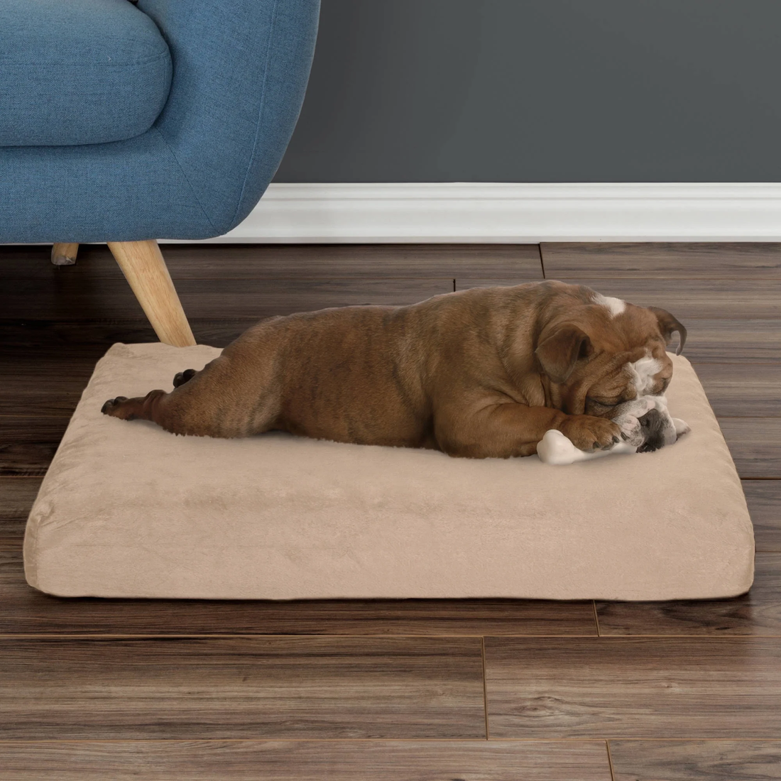 Orthopedic Memory Foam Dog Bed, Medium