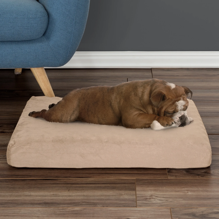 Orthopedic Memory Foam Dog Bed, Medium