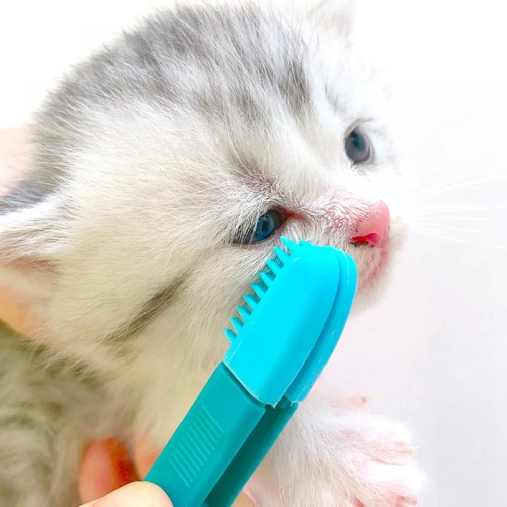 Pet Tear Stain Remover Comb – Double-Head Grooming Brush for Dogs & Cats