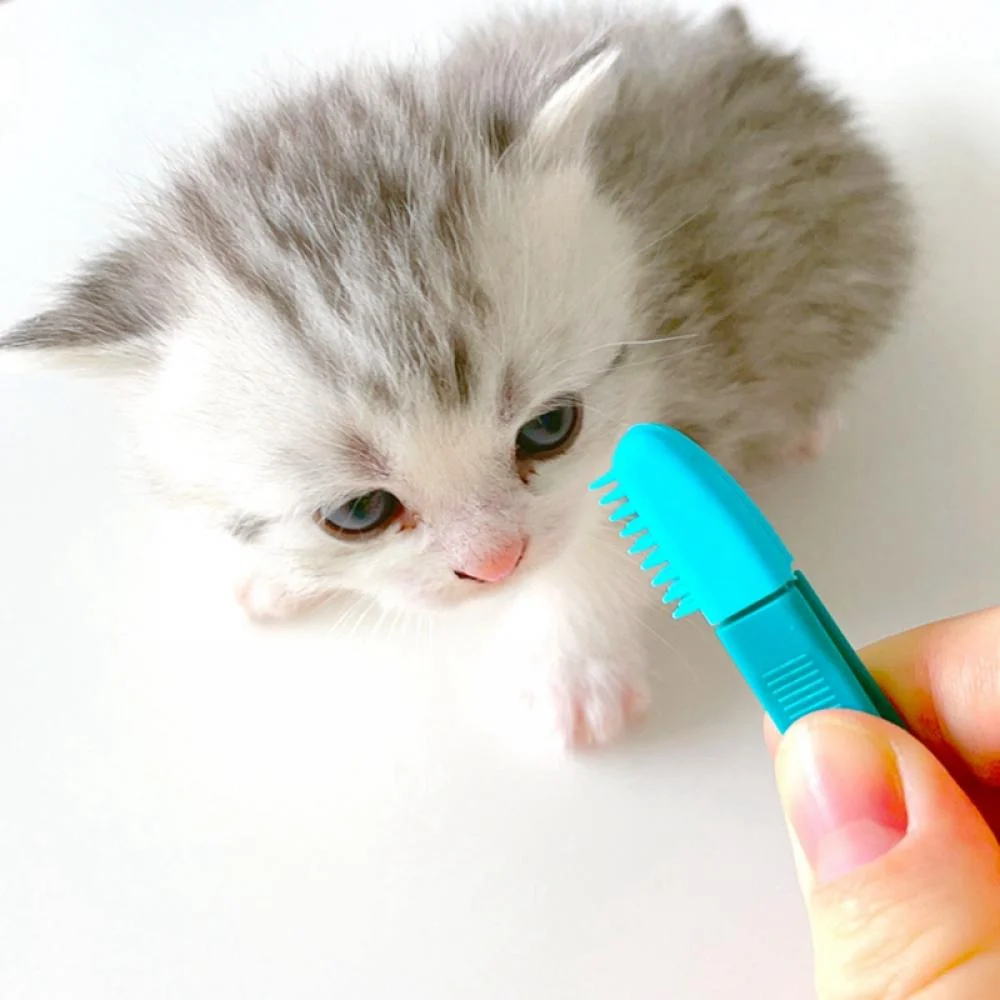 Pet Tear Stain Remover Comb – Double-Head Grooming Brush for Dogs & Cats