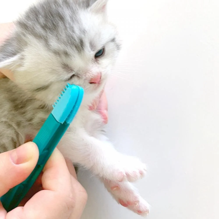 Pet Tear Stain Remover Comb – Double-Head Grooming Brush for Dogs & Cats