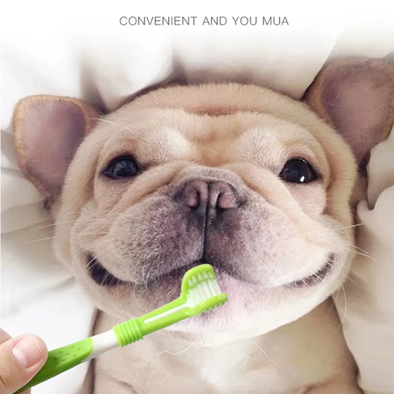 Pet Toothbrush Kit with 3 Heads - Dog Cat Dental Care Finger Toothbrush Teeth Cleaning Mouth Kit