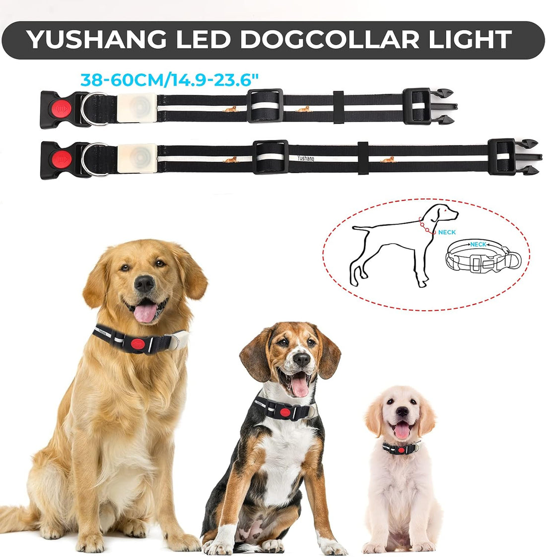 LED Dog Collar Waterproof Design Rechargeable