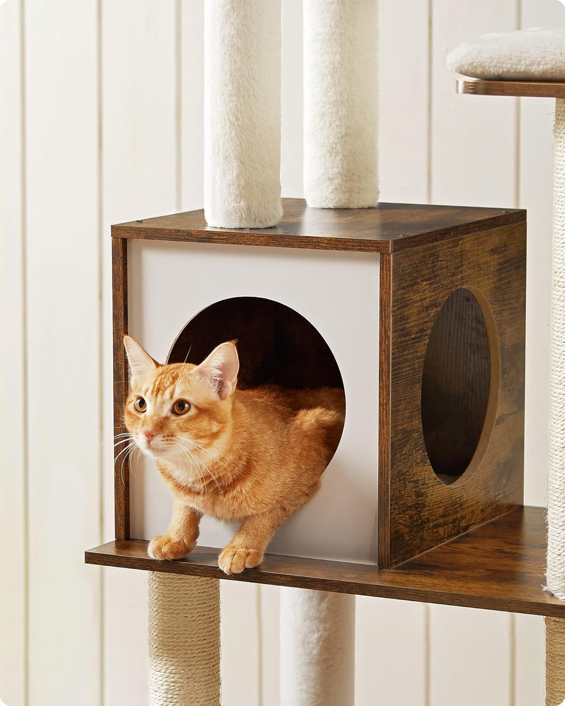 WoodyWonders 65-Inch Modern Cat Tree – Multi-Level Condo with 5 Scratching Posts, Perch & Removable Cushions, Rustic Brown (UPCT166X01)