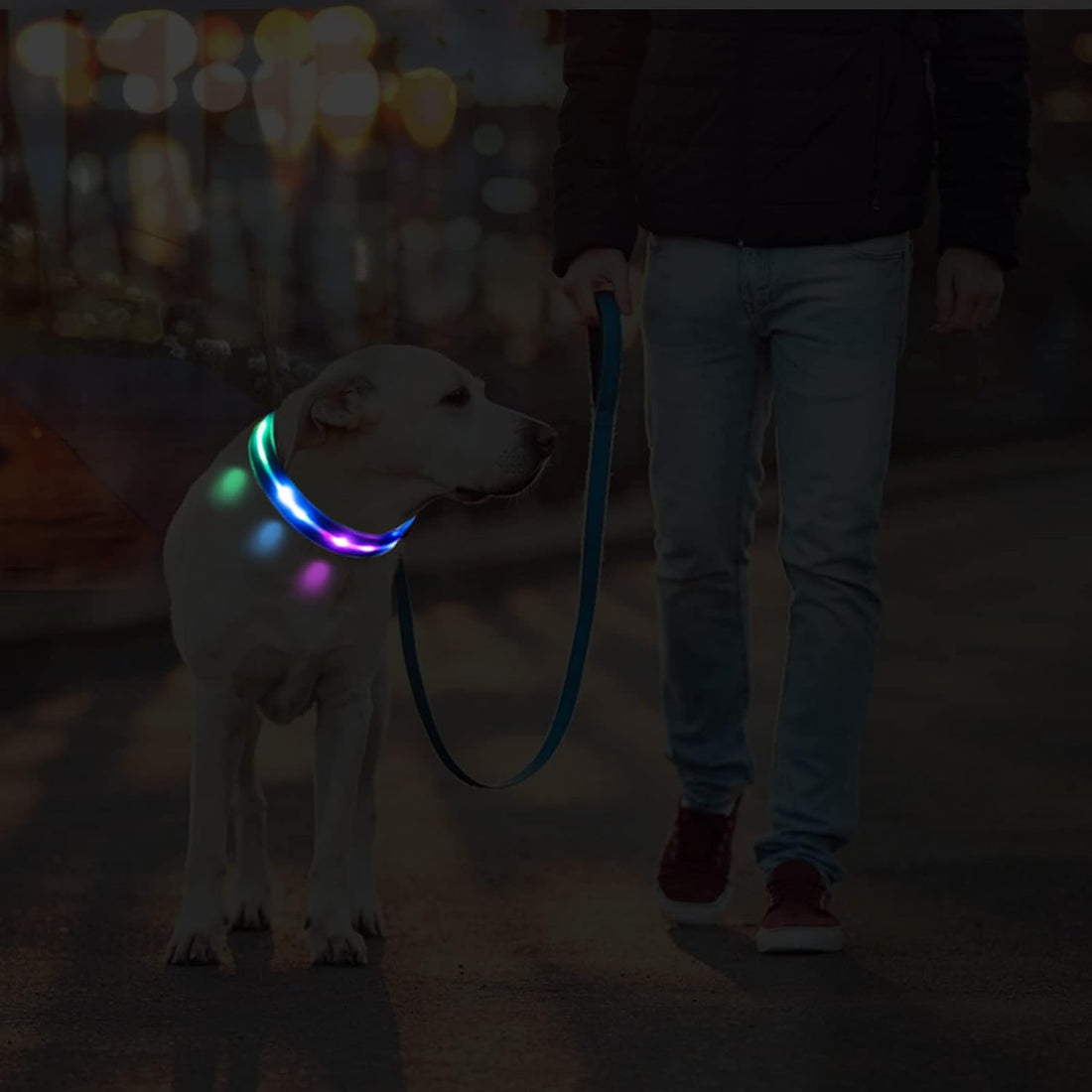LED Dog Collar Waterproof Design Rechargeable