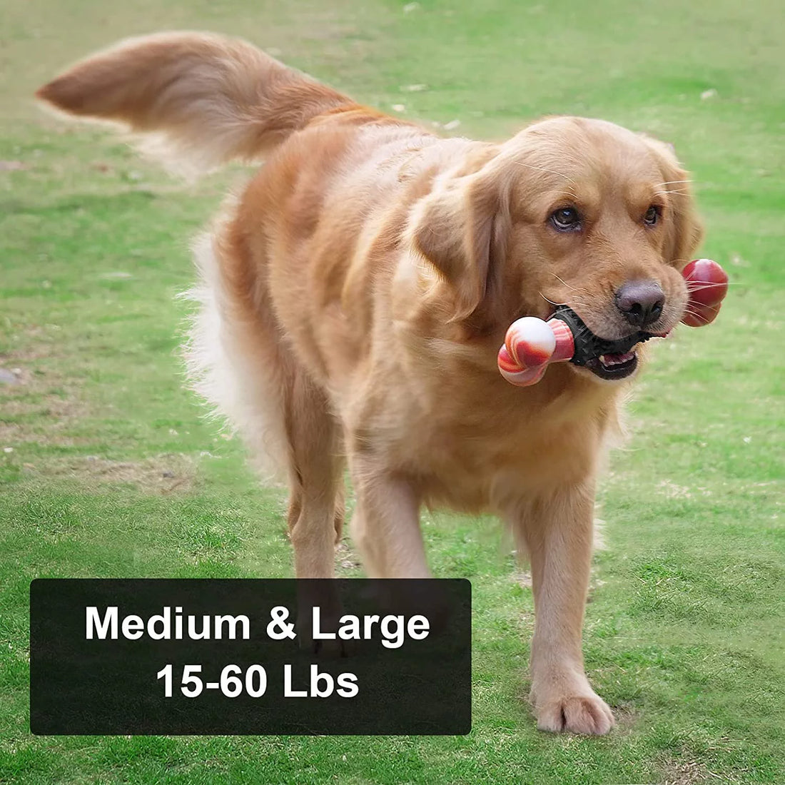 Indestructible Dog Chew Toy – Durable Bone Toy for Aggressive Chewers, Medium & Large Dogs